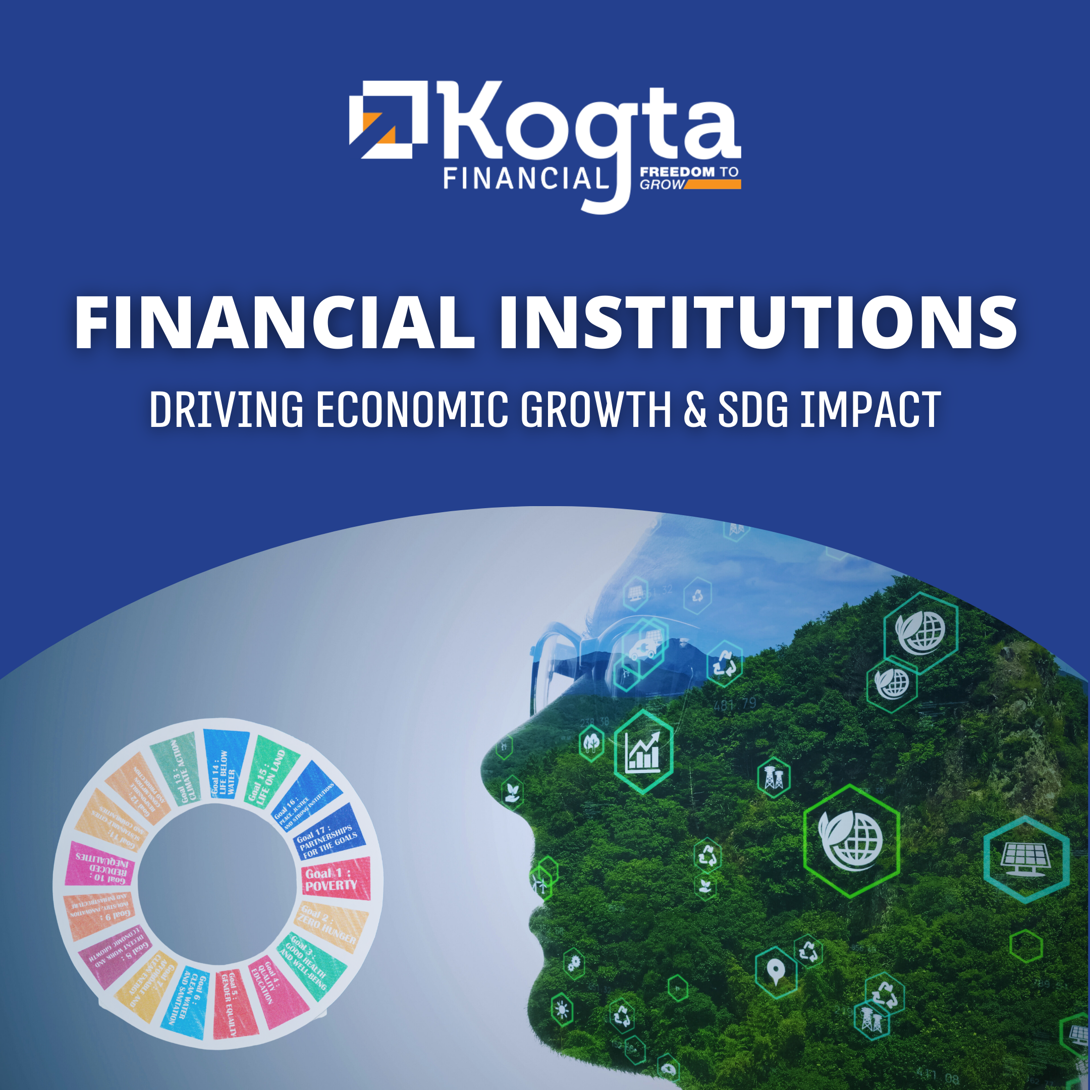 Financial Institutions: Driving Economic Growth & SDG Impact