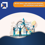 Micro Small and Medium Enterprises: Key Difference and Impact